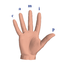 Hand rechts